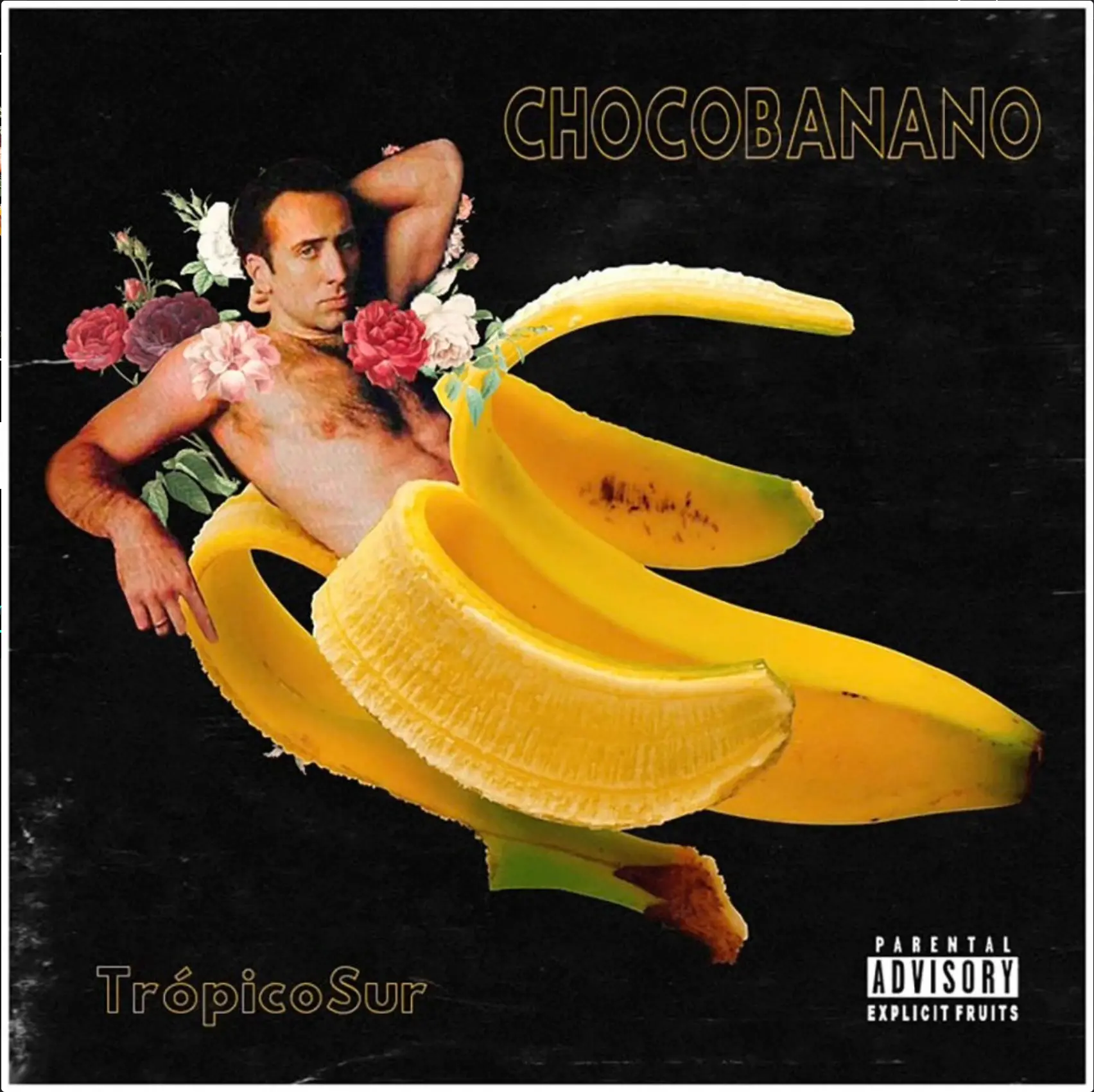 tropicosur chocobanano danielalanis